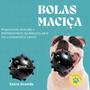 Imagem de Brinquedo Bola Pet Grande Macica Resistente Cravo Cachorro