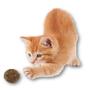 Imagem de Brinquedo Bolinhas de Catnip Erva dos Gatos Desidratada Kit 03 Pçs