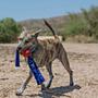 Imagem de Brinquedo Cabo De Guerra Kong Tails Para Cães - Médio