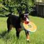 Imagem de Brinquedo Chuckit Zipflight Amphibious - Disco Voador para Cães (15cm) - Pacote com 4