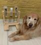 Imagem de Brinquedo com garrafas para cachorro cães e gatos de colocar petiscos ração