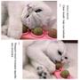 Imagem de Brinquedo de Bola com Catnip Comestível Bisogoon para Gatos (Azul)