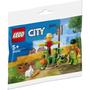 Imagem de Brinquedo de construção LEGO City 30590 Farm Garden com espantalho