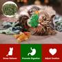 Imagem de Brinquedo de Natal com Catnip Vansolinne para Gatos - Resistente a Mordidas