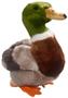 Imagem de Brinquedo de Pelúcia Carl Dick Mallard Duck - 22cm