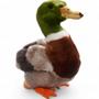 Imagem de Brinquedo de Pelúcia Carl Dick Mallard Duck - 22cm