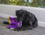 Imagem de Brinquedo de Pelúcia GoDog Dinos Bruto Squeaky com Chew Guard - Roxo