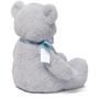 Imagem de Brinquedo de pelúcia GUND Baby My First Teddy Bear para bebês azul 45 cm