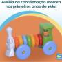 Imagem de Brinquedo Educativo Didatico Pedagógico Argolas Encaixar