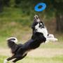 Imagem de Brinquedo Frisbee de Borracha Azul para Cães Nerf Dog