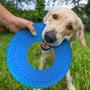 Imagem de Brinquedo Frisbee de Borracha Azul para Cães Nerf Dog