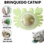 Imagem de Brinquedo Gato Parede Catnip