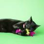 Imagem de Brinquedo Interativo para gato boneca catnip penas plumas