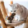 Imagem de Brinquedo Interativo para Gatos - Pássaro Voador com Asas Batendo e Catnip