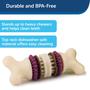 Imagem de Brinquedo Interativo PetSafe Busy Buddy Bristle Bone - Limpa Dentes para Cães