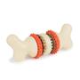 Imagem de Brinquedo Interativo PetSafe Busy Buddy Bristle Bone - Limpa Dentes para Cães