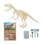 Imagem de Brinquedo Kit de Escavação Fóssil Dinossauro Arqueologia Jurassic Paleontologia