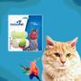 Imagem de Brinquedo Kit Gatinho Animado HomePet 