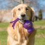Imagem de Brinquedo KONG Wubba para Cães - Ideal para Tug of War e Fetch (Tamanho XL)
