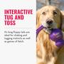 Imagem de Brinquedo KONG Wubba para Cães - Ideal para Tug of War e Fetch (Tamanho XL)