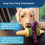 Imagem de Brinquedo Mastigável PetSafe Busy Buddy Jack para Cães Médios