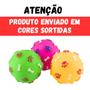 Imagem de Brinquedo Mordedor Cachorro Pet Bola Osso Pata com Apito