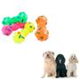 Imagem de Brinquedo Mordedor Halter Pet Para Cachorros Resistente Cães Toys Buddy Pit Bull Rottweiler