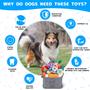 Imagem de Brinquedo para Cães Vicouyi - Pacote com 26 Unidades para Filhotes e Cães Pequenos e Médios
