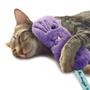 Imagem de Brinquedo para Gato Catnip Kong Cat Comfort Valerian Crc4