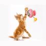 Imagem de Brinquedo para Gato Giratório Interativo Com Bolinhas Ventosa