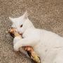 Imagem de Brinquedo para Gato Kitty Kick Stix - Catnip - Conjunto com 2 Unidades - Fabricado nos EUA