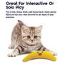 Imagem de Brinquedo para Gato Petstages Catnip Boomerang Buddy 331