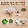 Imagem de Brinquedo para Gatos Potaroma Birds - Pacote com 2 - Catnip, Macio e Durável (16,5cm)