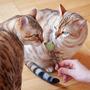 Imagem de Brinquedo para Gatos Pretty Kitty Catnip Lollipop - Com Palito Dental