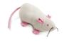 Imagem de Brinquedo para Gatos SmartyKat Rat Pack Kicker - Catnip Jumbo