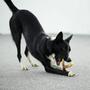 Imagem de Brinquedo para mastigar cães Tikaton Y-Bone durável para mastigadores agressivos