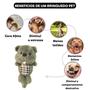 Imagem de Brinquedo Pelúcia Animais C/ Apito Para Cachorro Cães Pet - Petcute