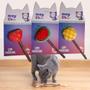 Imagem de Brinquedo peluncia frutas soritida com varinha matatabi para gatos 