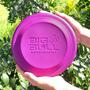 Imagem de Brinquedo Pet Frisbee Profissional Esporte Cachorro Disco Anti-stress