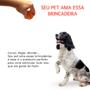 Imagem de Brinquedo pet mordedor Kit de brinquedos bola bolinha resistente para caes gatos antiestresse
