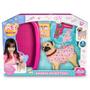 Imagem de Brinquedo Pet Wash Cachorro Pug Com Acessórios - Adijomar