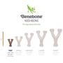 Imagem de Brinquedo Puppy Para Cães Benebone Wishbone Dentalchew Bacon