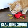 Imagem de Brinquedo Real Bird com Catnip para Gatos - OurPets