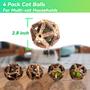 Imagem de Brinquedos Catnip para Gatos QUVOVID - 3 Pacotes com Bola de Catnip e Silvervine