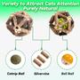 Imagem de Brinquedos Catnip para Gatos QUVOVID - 3 Pacotes com Bola de Catnip e Silvervine