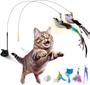 Imagem de Brinquedos para gatos ZOYTEN 10 peças de brinquedos interativos para gatinhos, varinha de penas