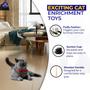 Imagem de Brinquedos para gatos ZOYTEN 10 peças de brinquedos interativos para gatinhos, varinha de penas