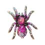 Imagem de Broche de Aranha Retrô com Pedra Olho de Gato - Multicolorido - Para Homens e Mulheres