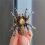 Imagem de Broche de Aranha Retrô com Pedra Olho de Gato - Multicolorido - Para Homens e Mulheres