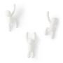 Imagem de Buddy Conjunto Cabideiros de Parede 3 Peças Branco UMBRA